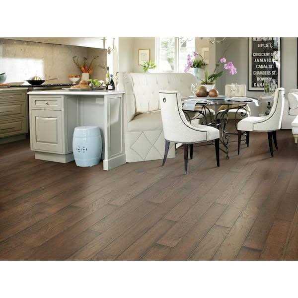 Shaw 1019V Paragon Plus - Zenithce
