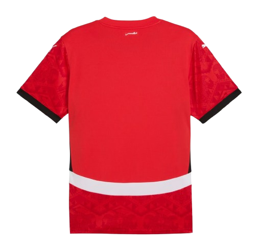 Egypt Home Soccer jersey 2024/25 - Zenithce