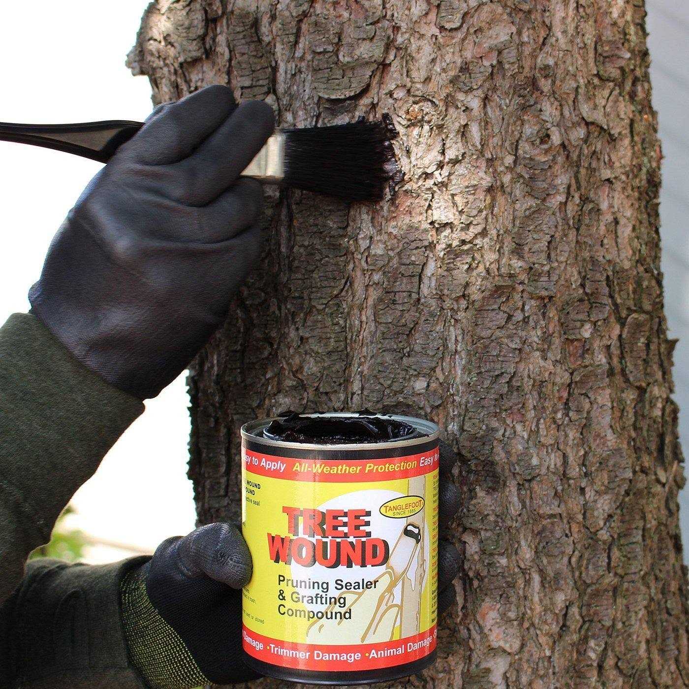 Tanglefoot Tree Pruning Sealer - Zenithce