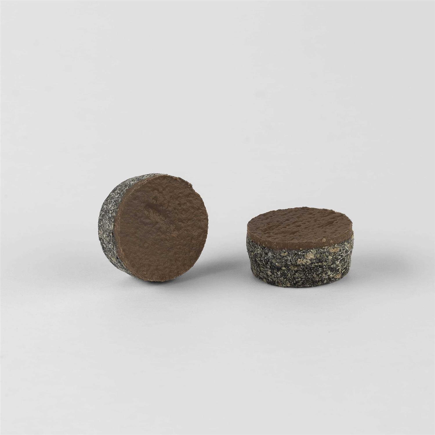 Starborn Industries Cap-Tor xd Screws for PVC & Composite Decking - Zenithce