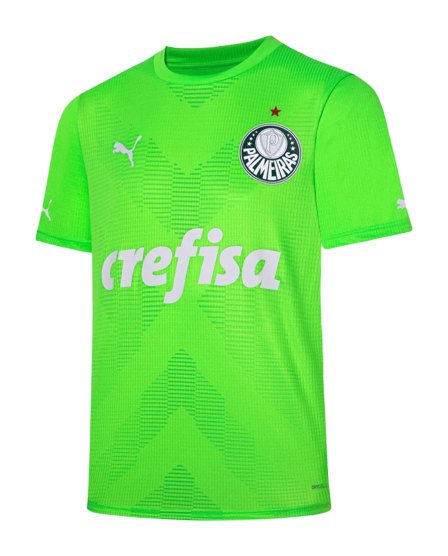 Palmeiras Soccer Limited Edition Green Soccer jersey 2023/24 - Zenithce