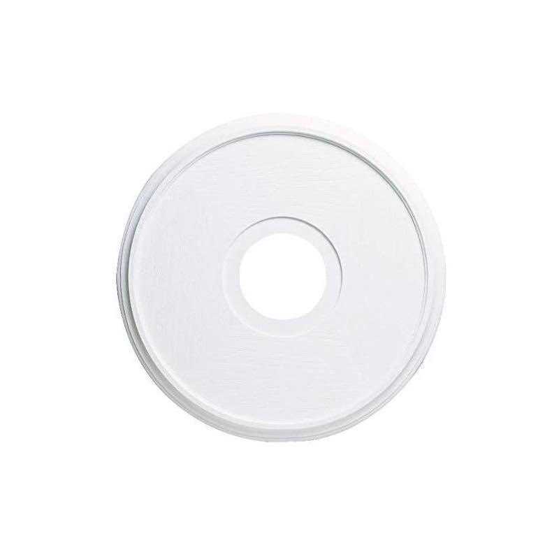 Westinghouse 7703500 Ceiling Medallion - Zenithce