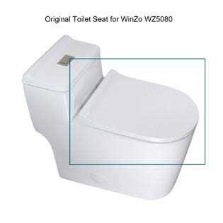 Elongated Tall & Wide Bubble Cover - Zenithce