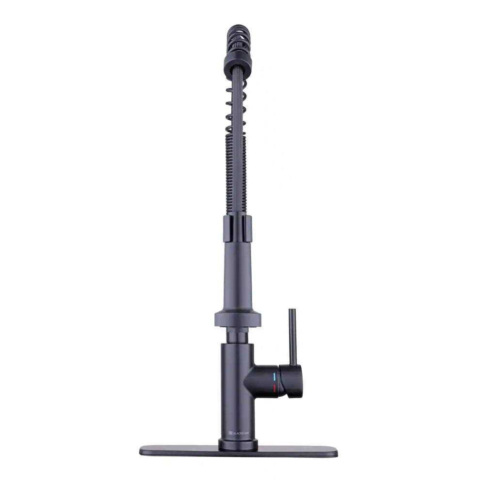 Glacier Bay Paulina Single Handle Pull Down Sprayer Kitchen Faucet with TurboSpray - Zenithce