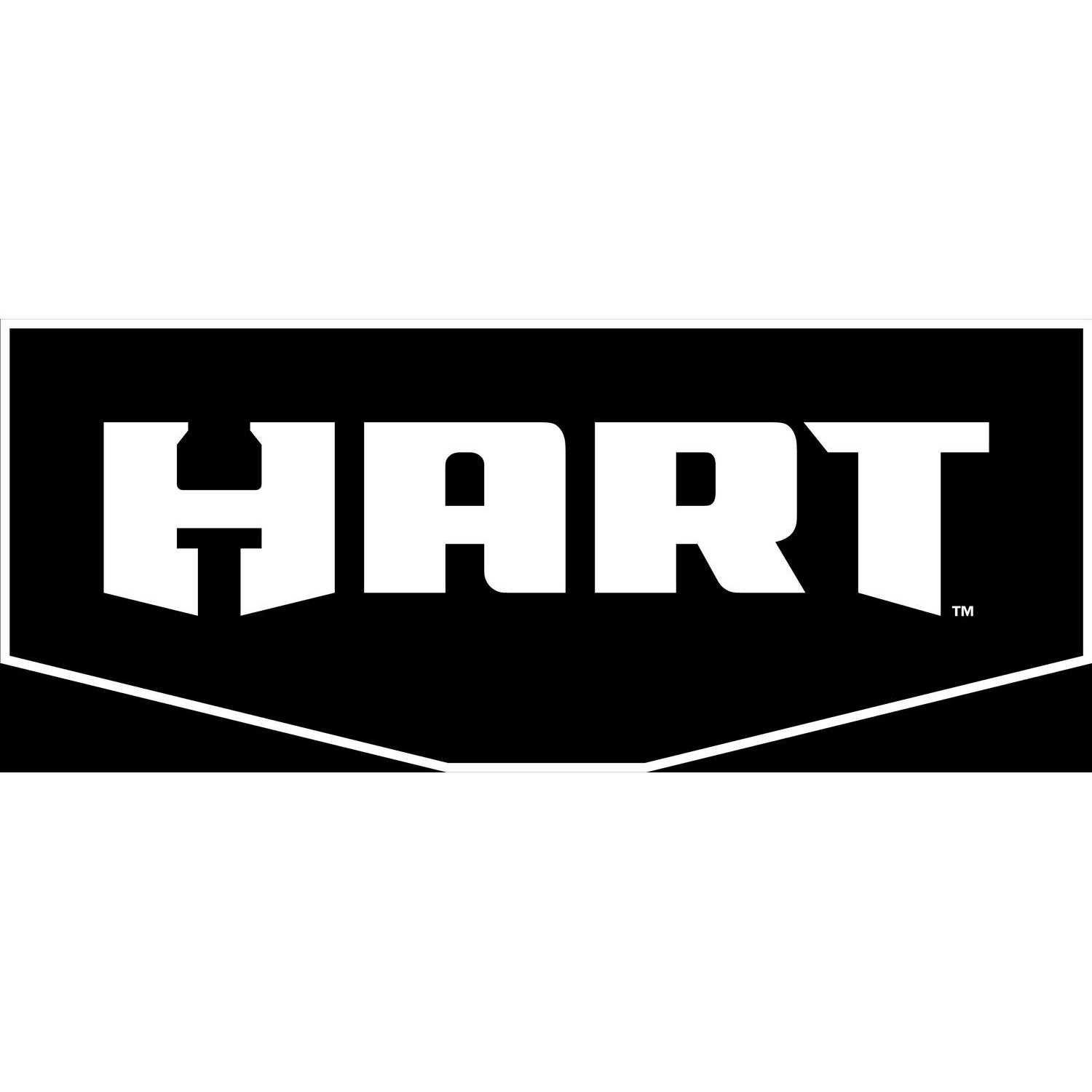 Hart 40-Volt Cordless 300 Watt Battery Powered Power Source with LED Light and Easy Carry Handle - Zenithce