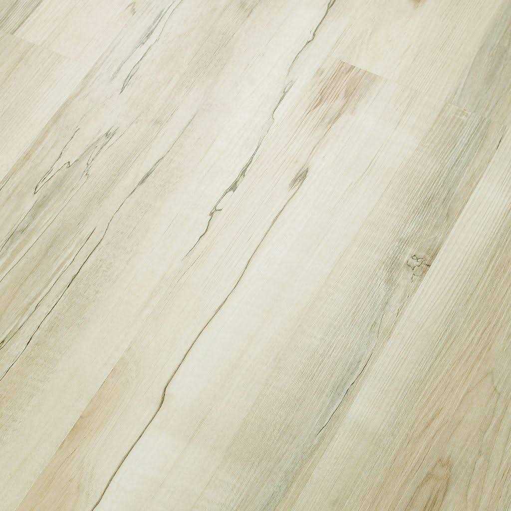 Shaw Floors Shaw Islander 8 x 8 Garden Way CS50Z 00641 - Zenithce