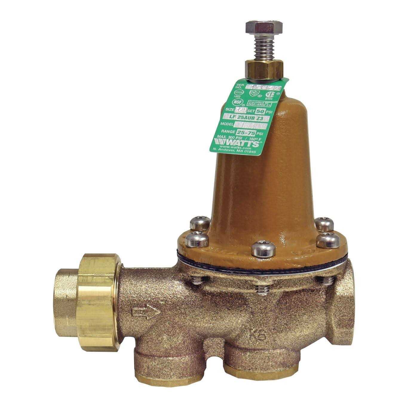 Watkins Replacement Water Check Valve for Hot Springs Spa - Zenithce