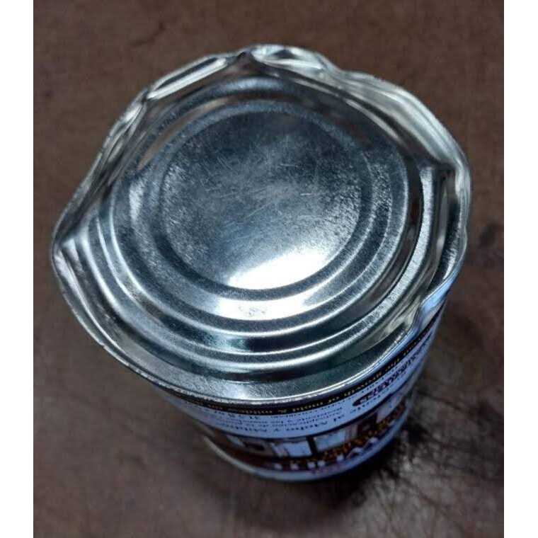 Zinsser Peel Stop Triple-Thick Primer - Zenithce