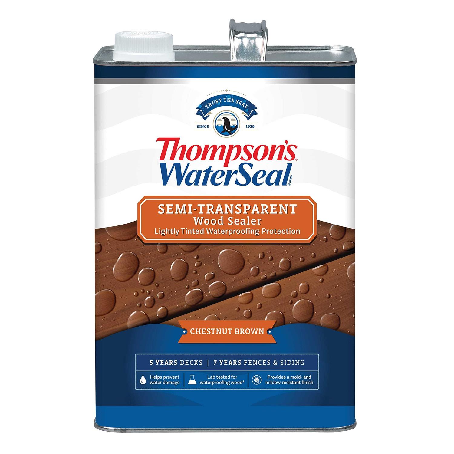 Thompson’s WaterSeal Multi-Surface Waterproofer, Clear, 1 Gallon - Zenithce