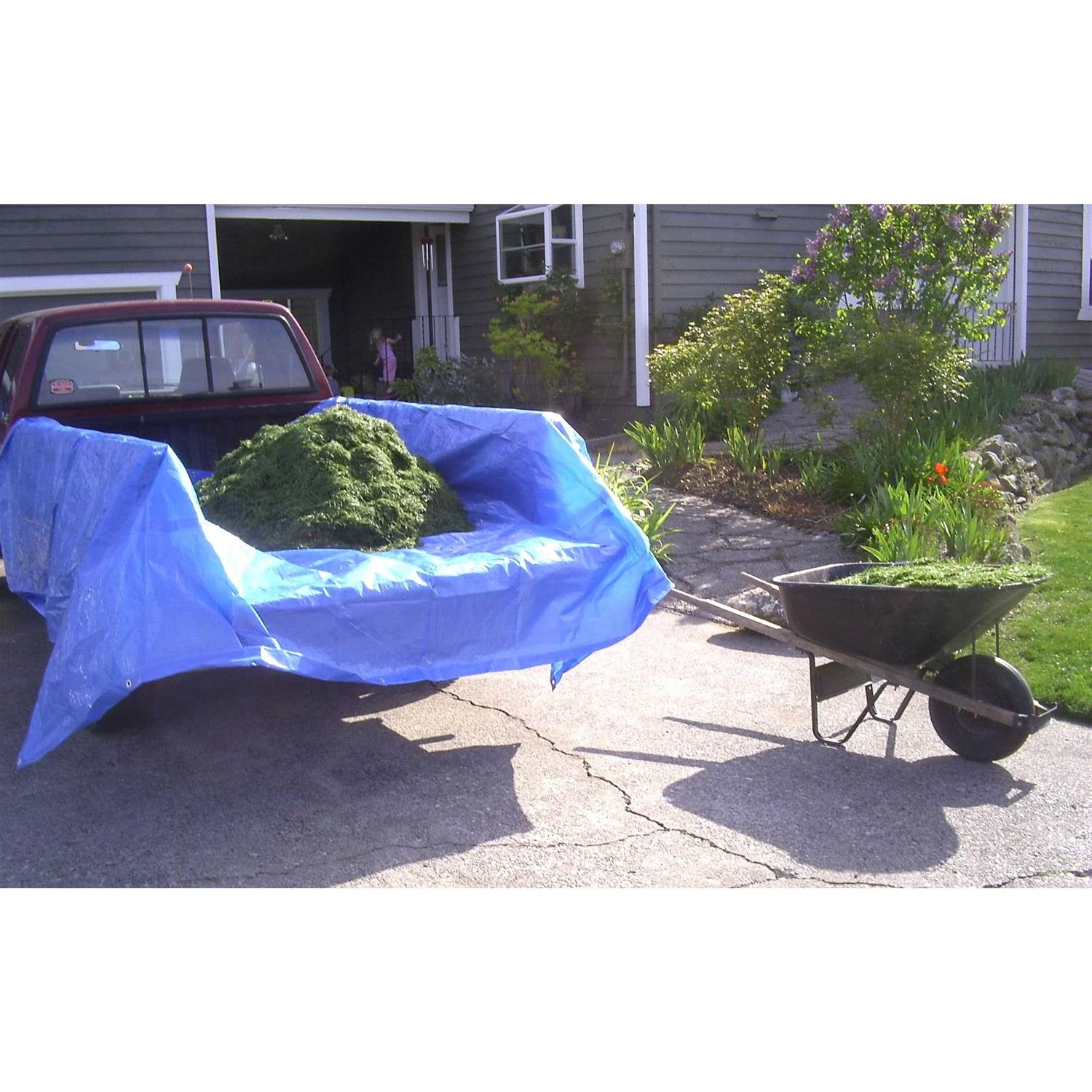 Foremost Tarp Blue - Zenithce