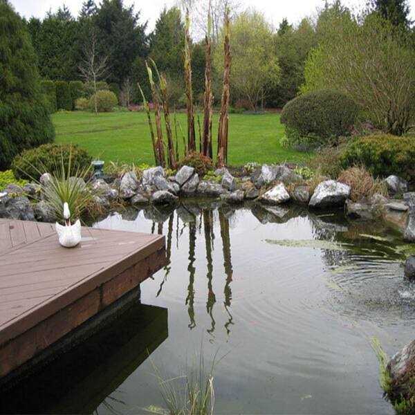 Pond Armor Non Toxic Pond Shield Epoxy Paint - Zenithce
