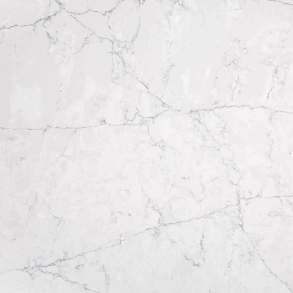 Silestone 2 in. x 4 in. Quartz Countertop Sample - Zenithce