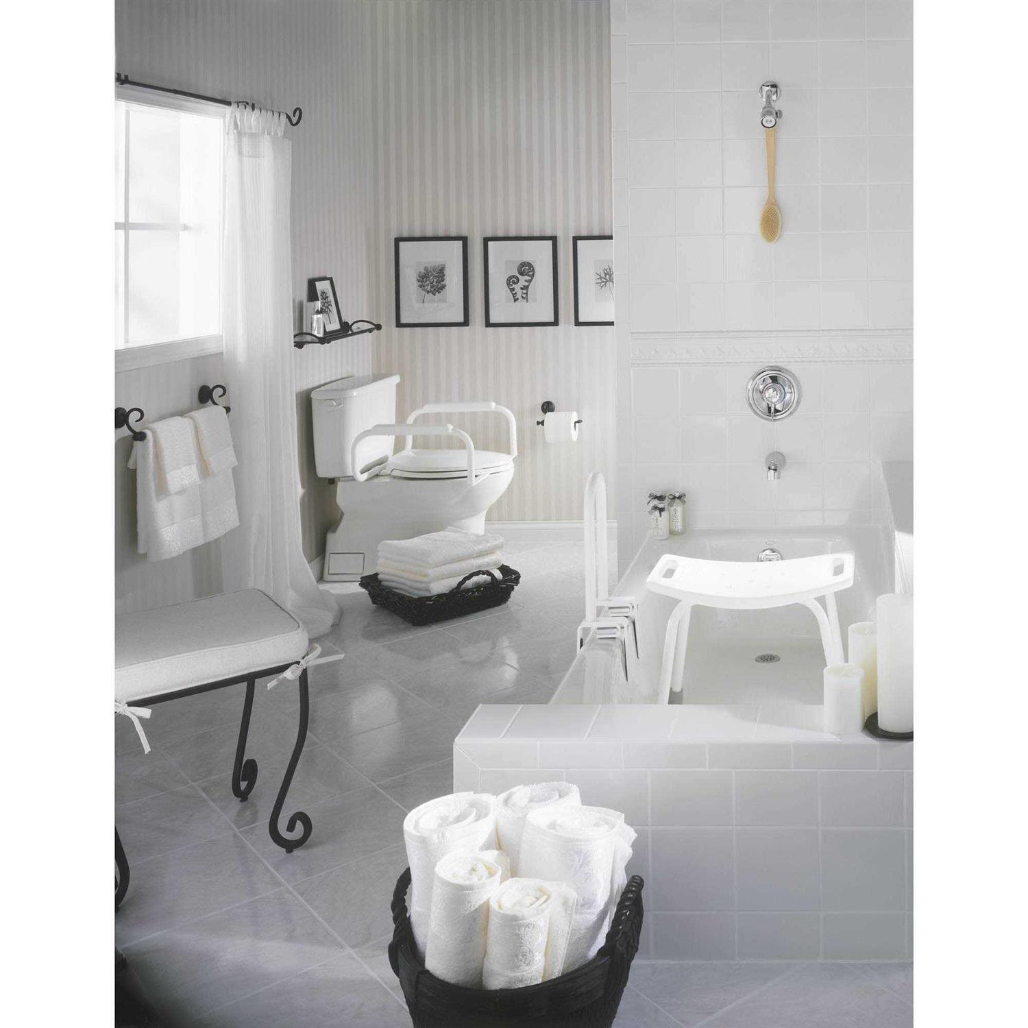 Moen DN7010 Home Care Tub Safety Bar - Zenithce