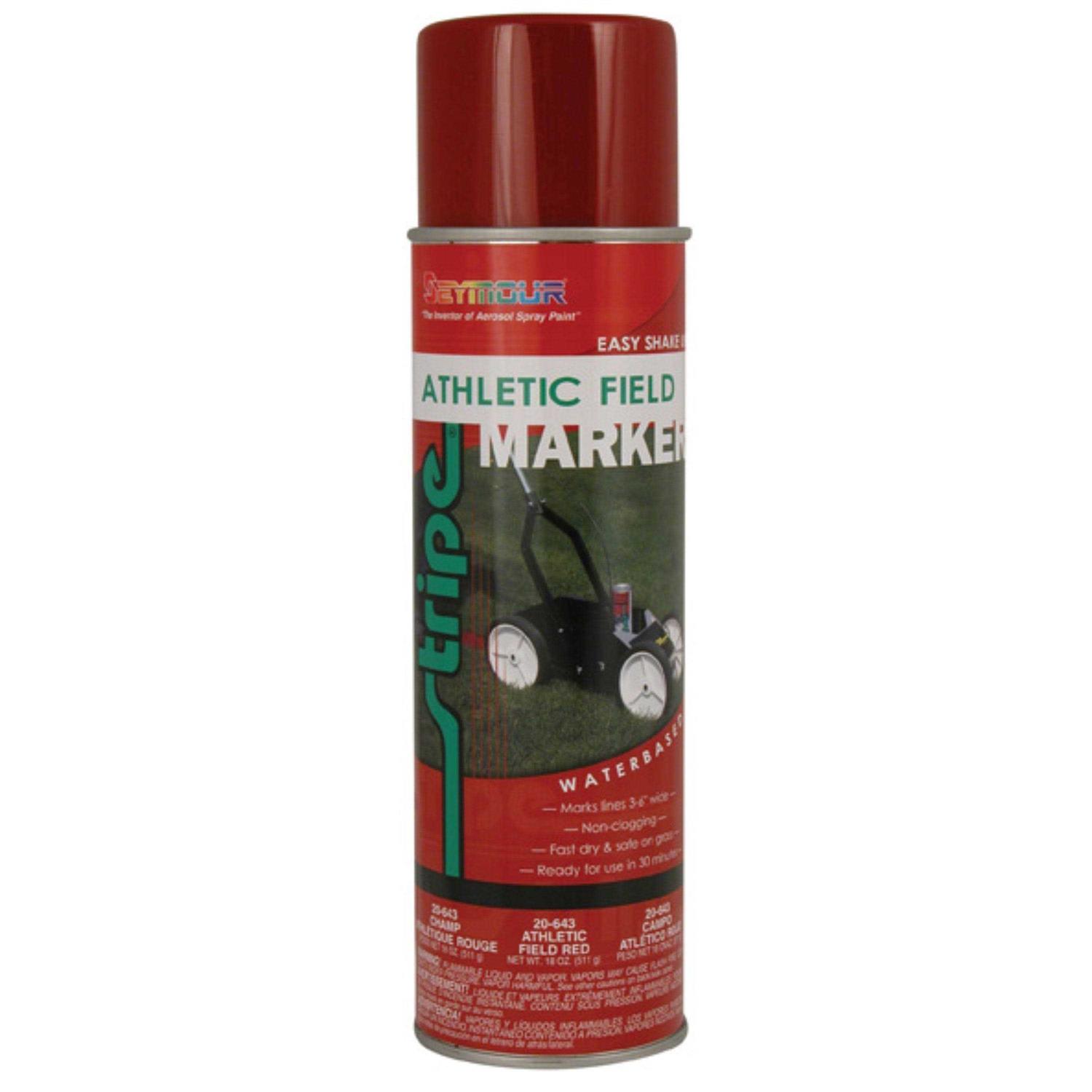 Seymour Stainless Steel Paint - Zenithce