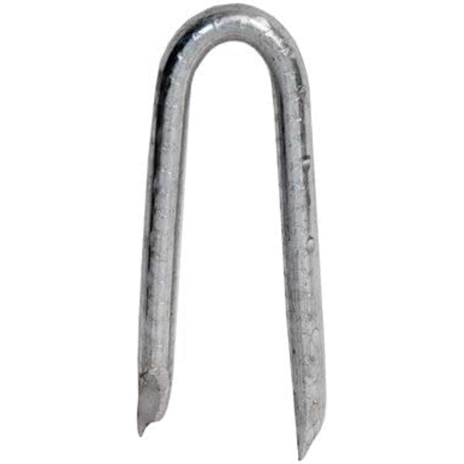 Hillman Fast-n-tite 18 x 3/4 inch Bright Wire Nails - Zenithce