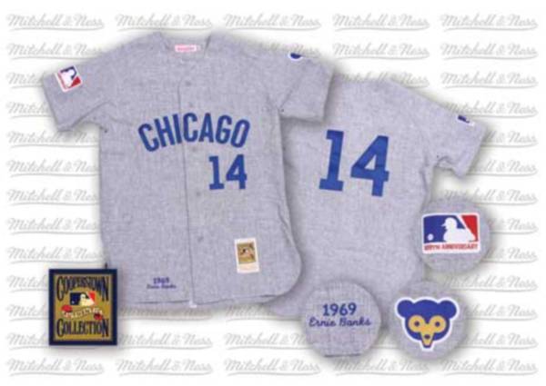 Mitchell And Ness Cubs #14 Ernie Banks Stitched Grey Throwback Jersey - Zenithce