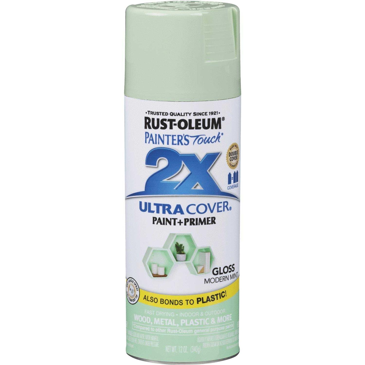 Rust-Oleum Painter’s Touch 2X Ultra Cover Spray Paint - Zenithce