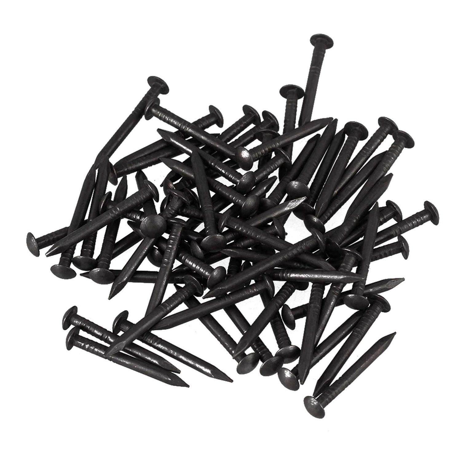 Rdexp Black Copper Round Head Wood Screw Nail Decorative Furniture Miniature Nail Pack of 50 - Zenithce