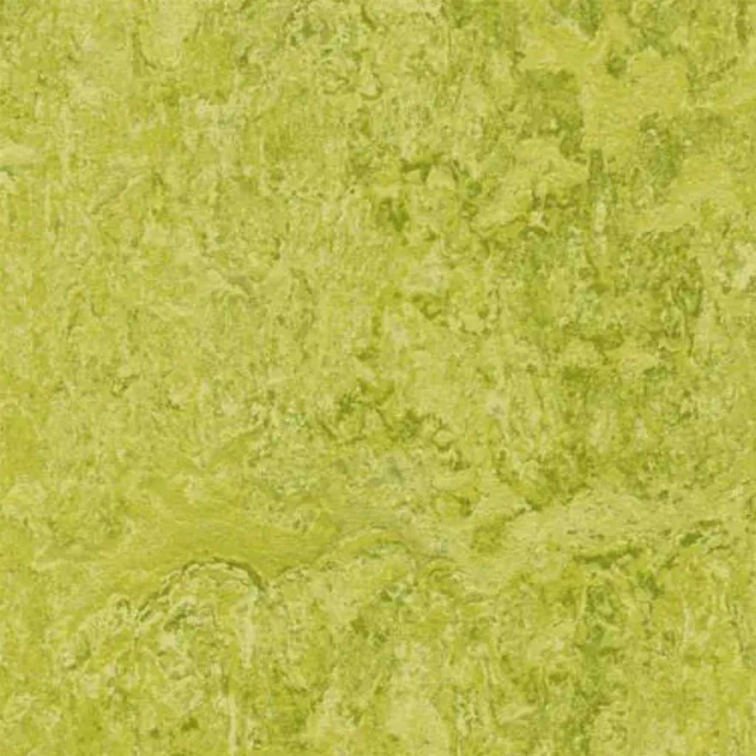 Forbo Marmoleum Click - Zenithce