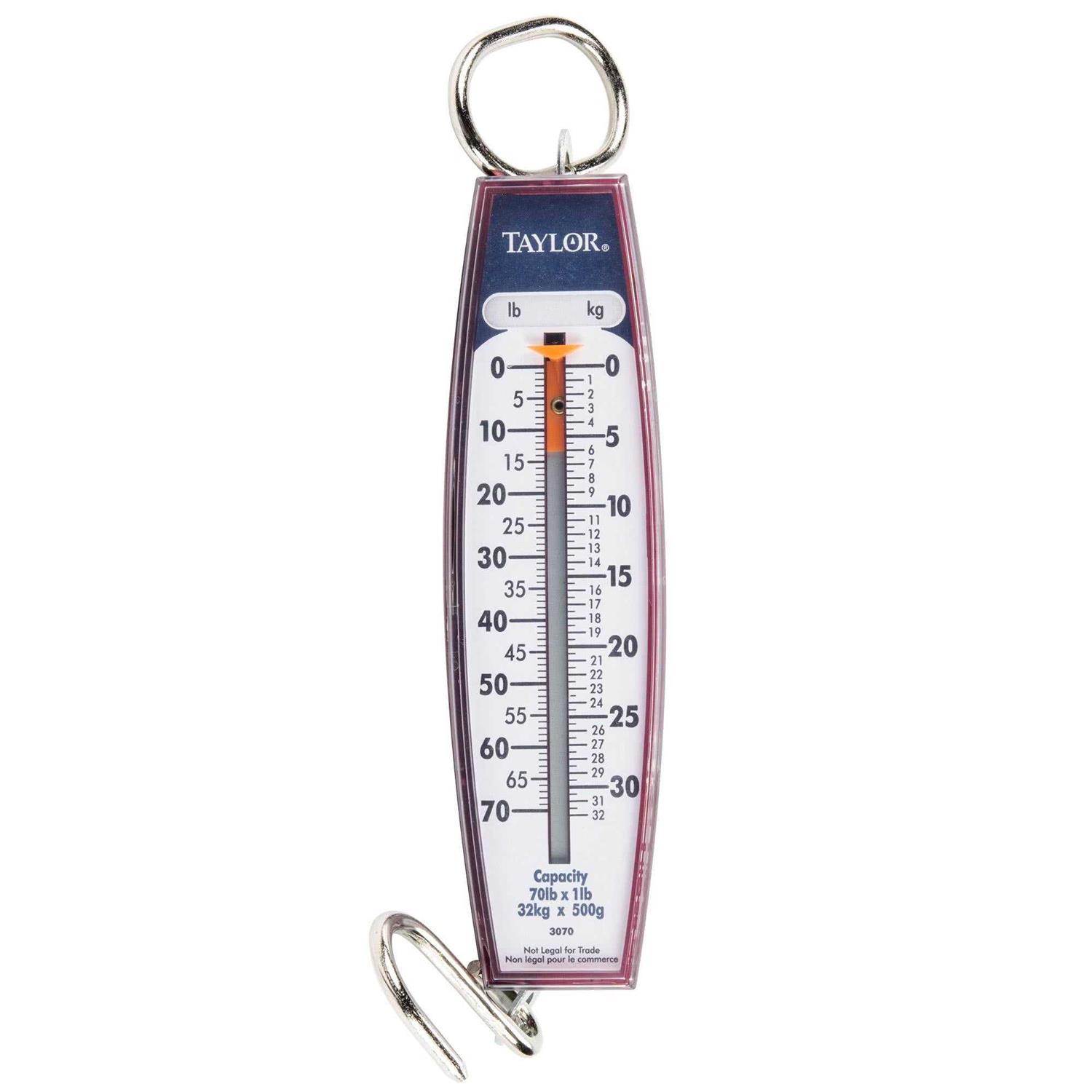 Taylor 3880 Kitchen Food Scale - Zenithce
