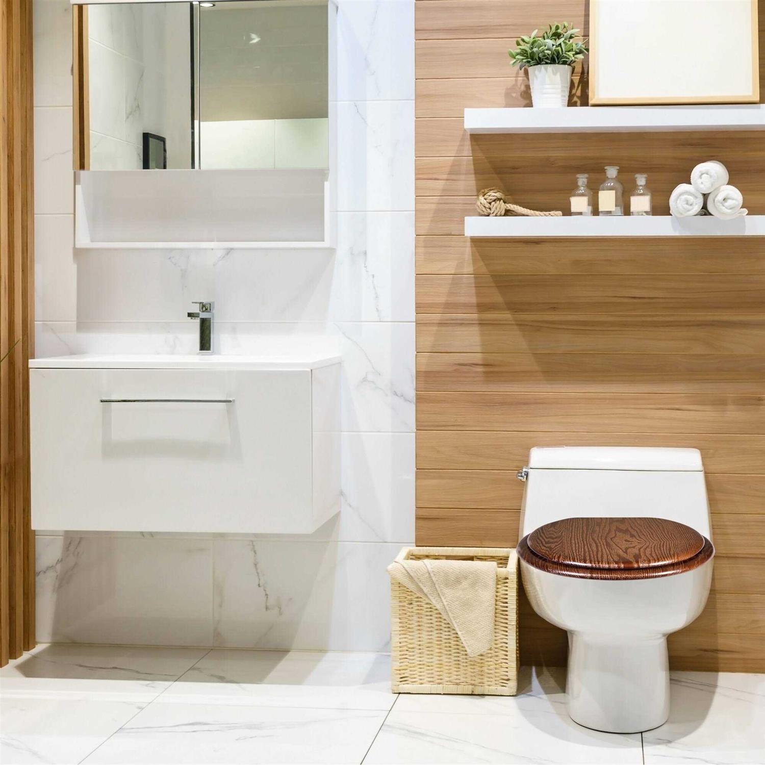 Design House Dalton Round Toilet Seat 561241 - Zenithce