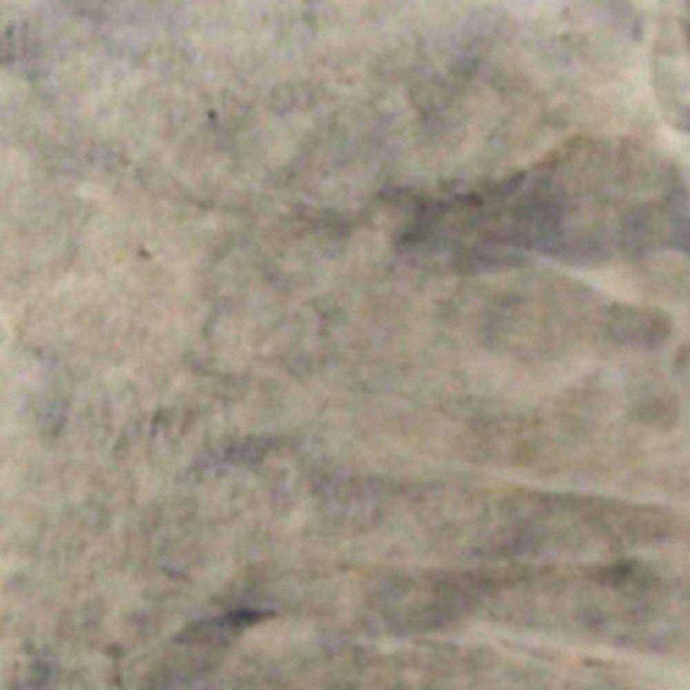 Walttools Water Based Stain for Concrete - Zenithce