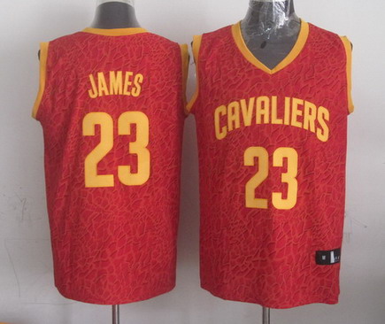 Cleveland Cavaliers #23 LeBron James Red Leopard Print Fashion Jersey - Zenithce
