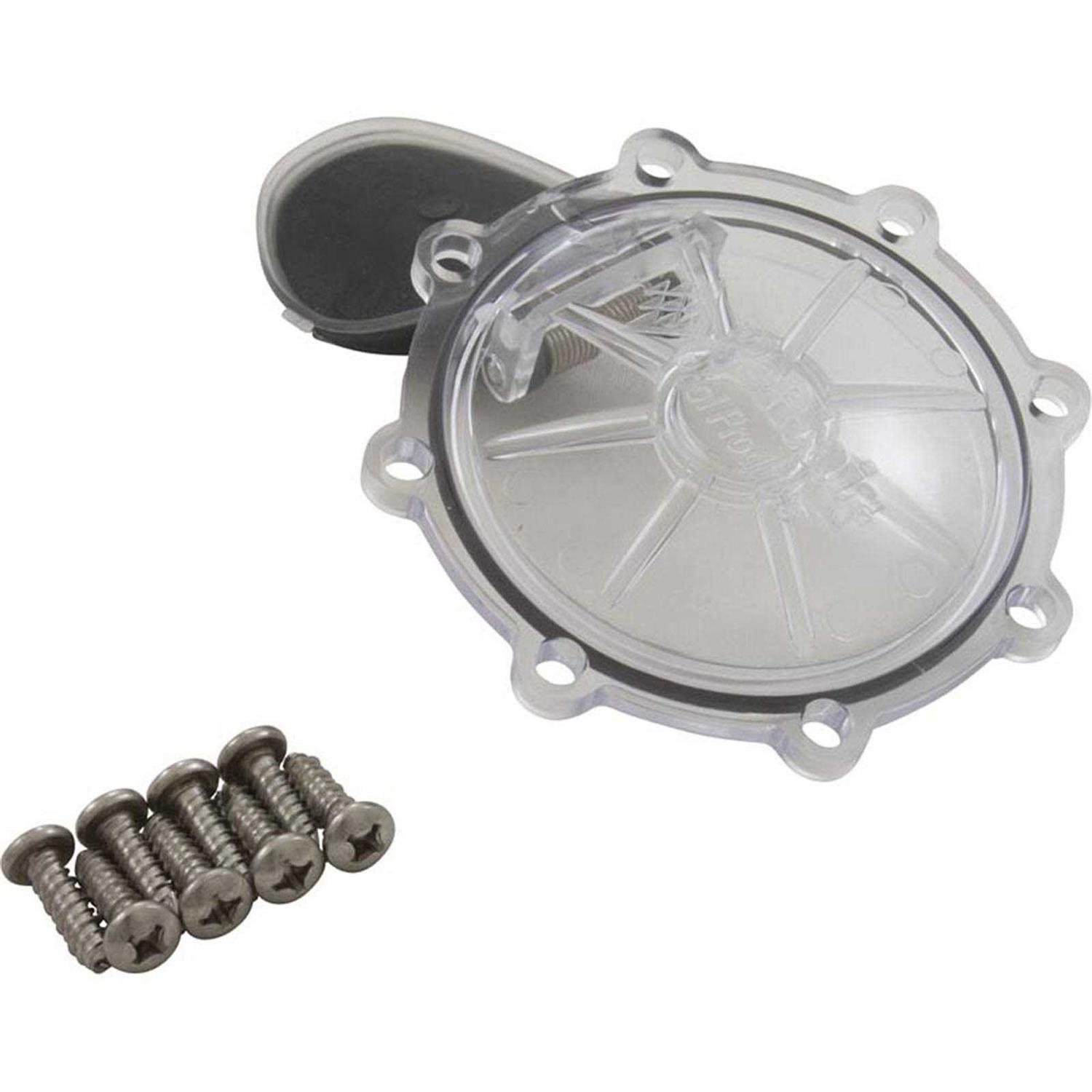 Pentair Check Valve Replacement Kit 263042Z - Zenithce