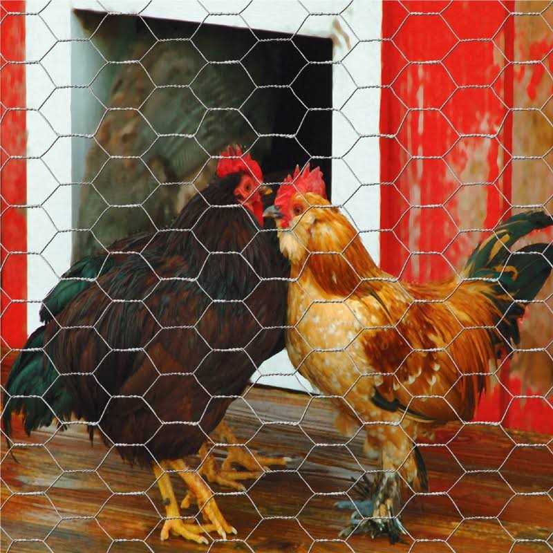 Garden Zone Poultry Netting - Zenithce