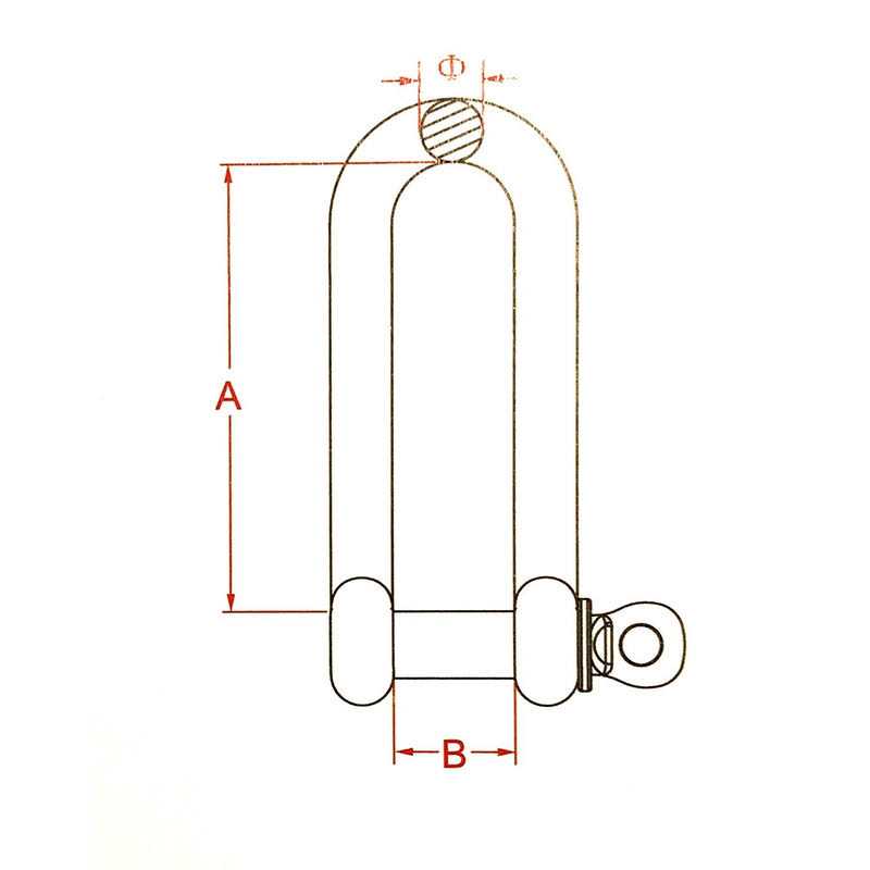 US Stainless Stainless Steel 316 D Shackle Marine Grade - Zenithce