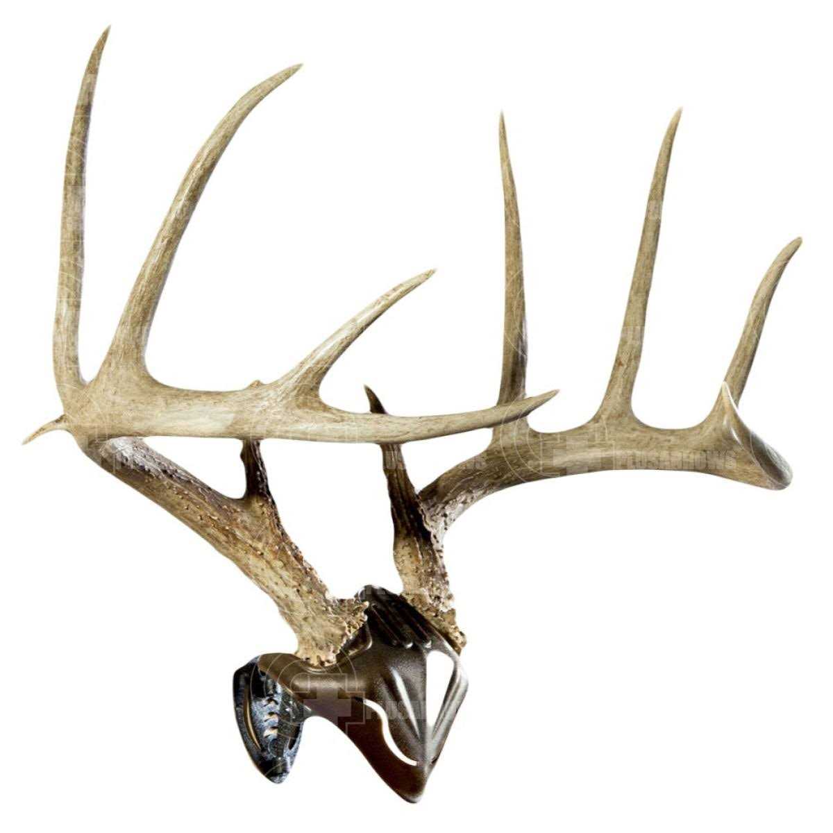 Skull Hooker Bone Bracket - Zenithce