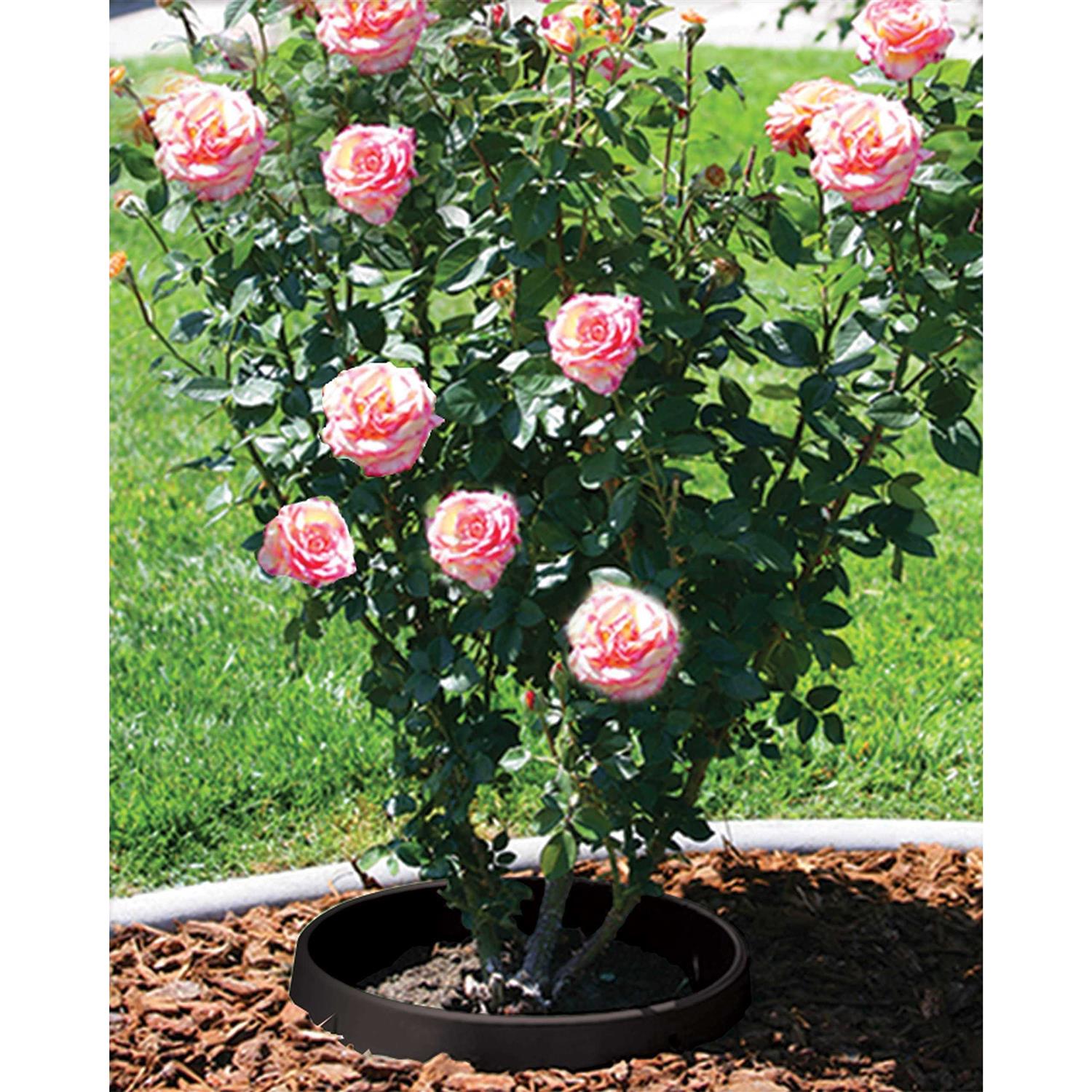 Waterrounds Planting Rings. Landscape Garden Protective - Zenithce