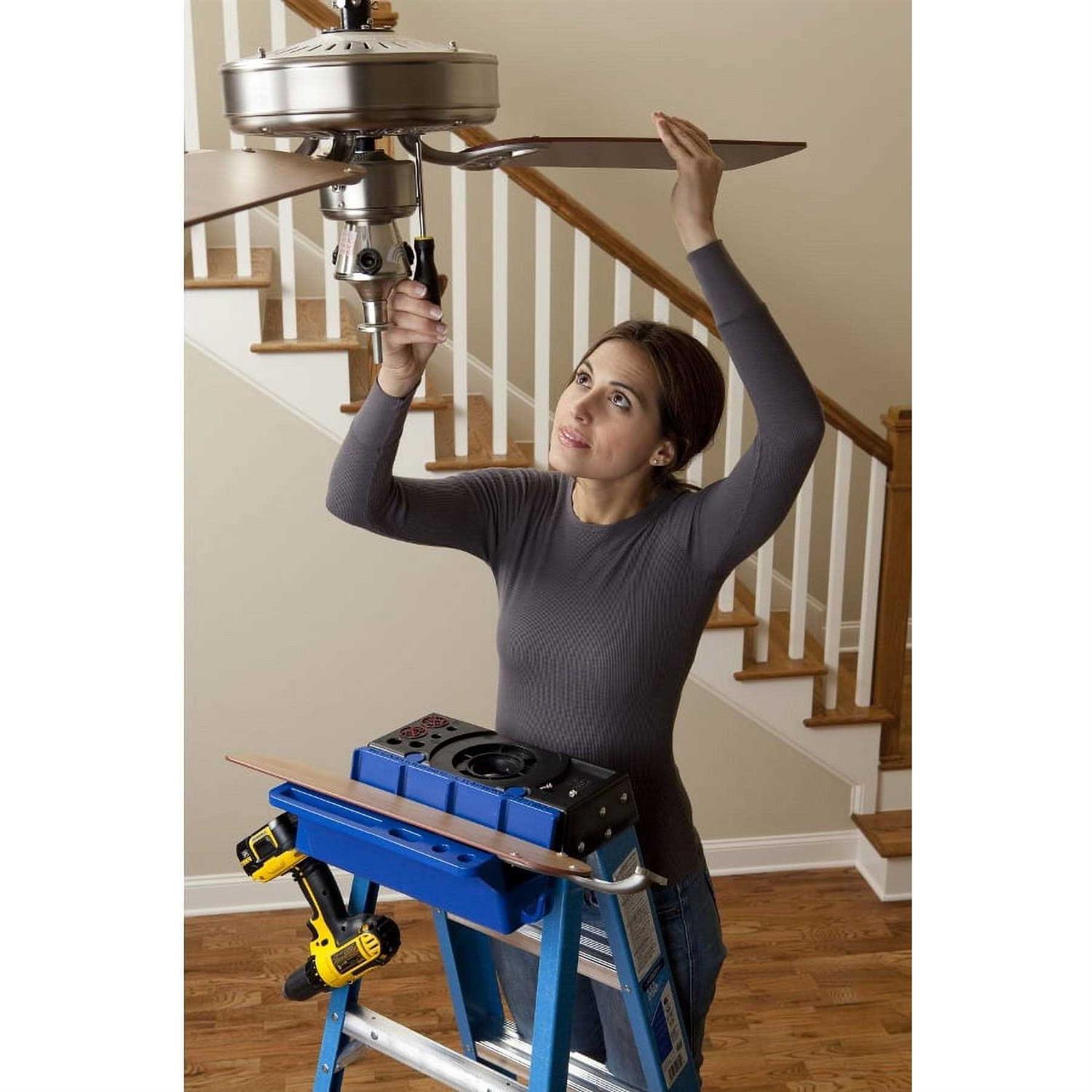 Werner LFS100 Fg Stepladder Safety and Instr. Labels - Zenithce