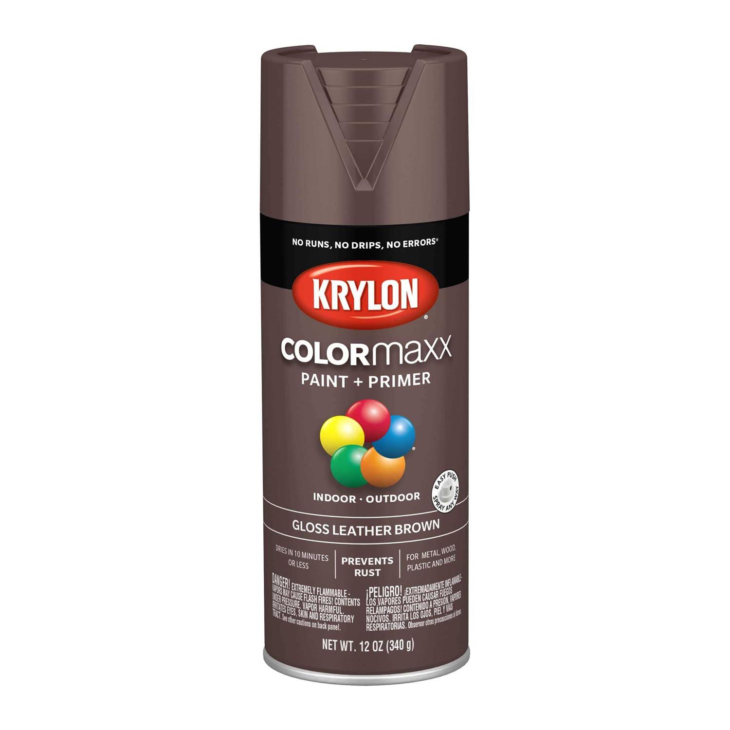 Krylon COLORmaxx Spray Paint - Zenithce