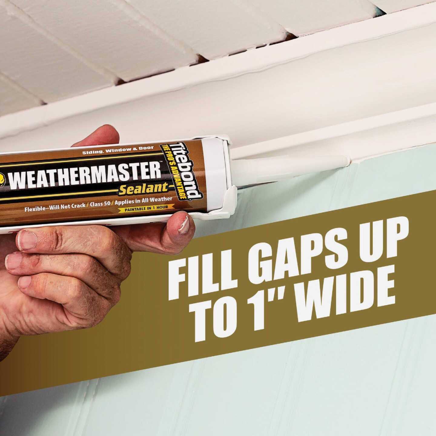 Titebond Quick & Thick Glue - Zenithce