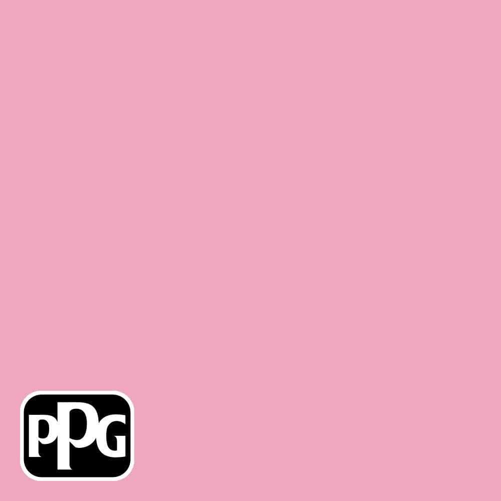 MULTI-PRO 1 gal Rose Interior Paint - Zenithce