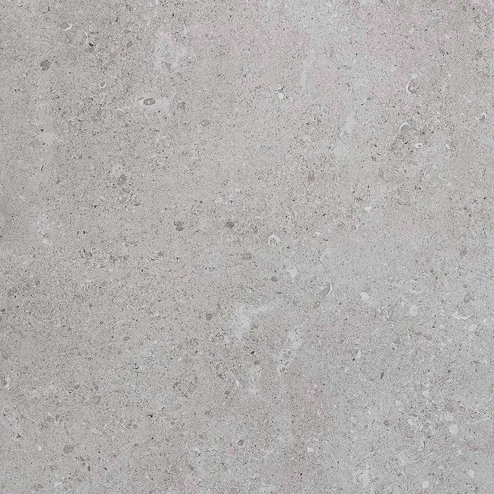 Daltile Adelaide 24 in. Color Body Porcelain Floor and Wall Tile - Zenithce