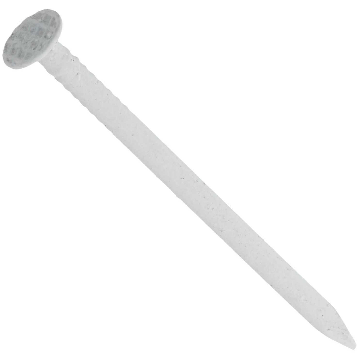 Hillman Stainless Steel Carriage Bolt - Zenithce