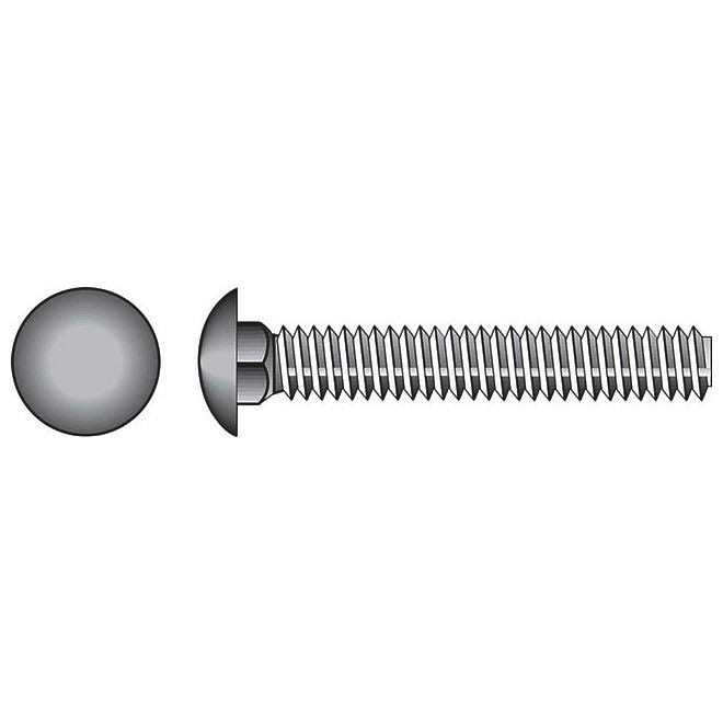 Hillman Stainless Steel Carriage Bolt - Zenithce