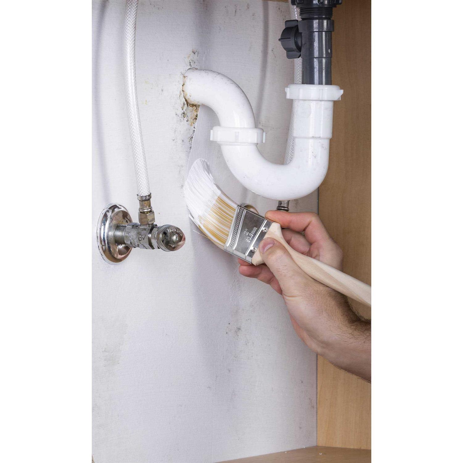 Zinsser Mold Killing Primer - Zenithce