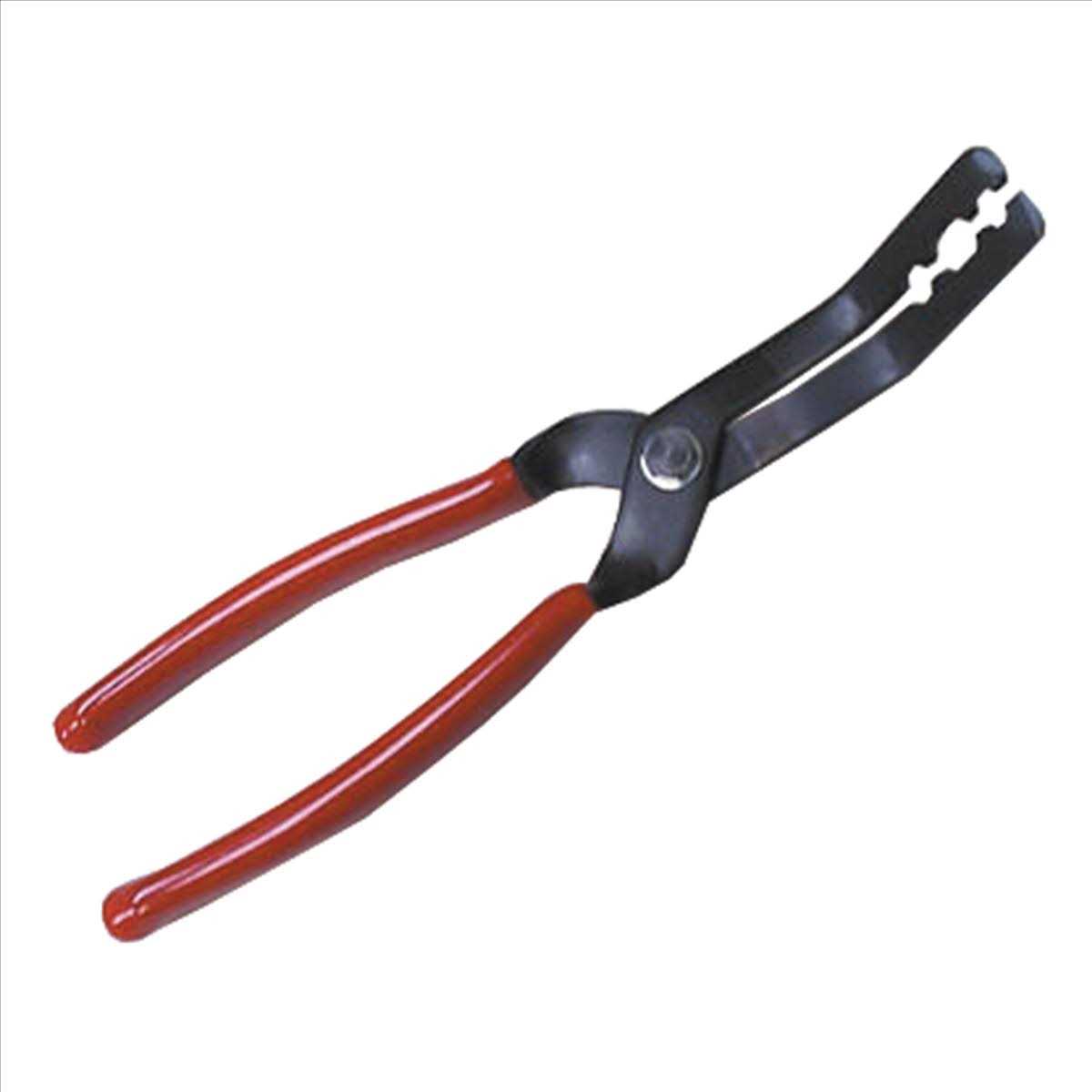 Steck 20099 Pogo Ii - Zenithce