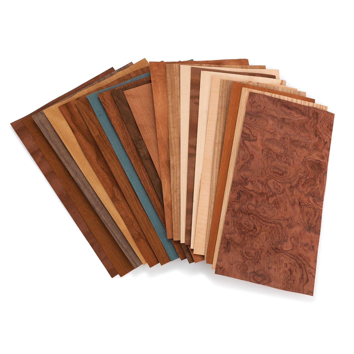 Sauers Maple Veneer 12 x 12 - Zenithce