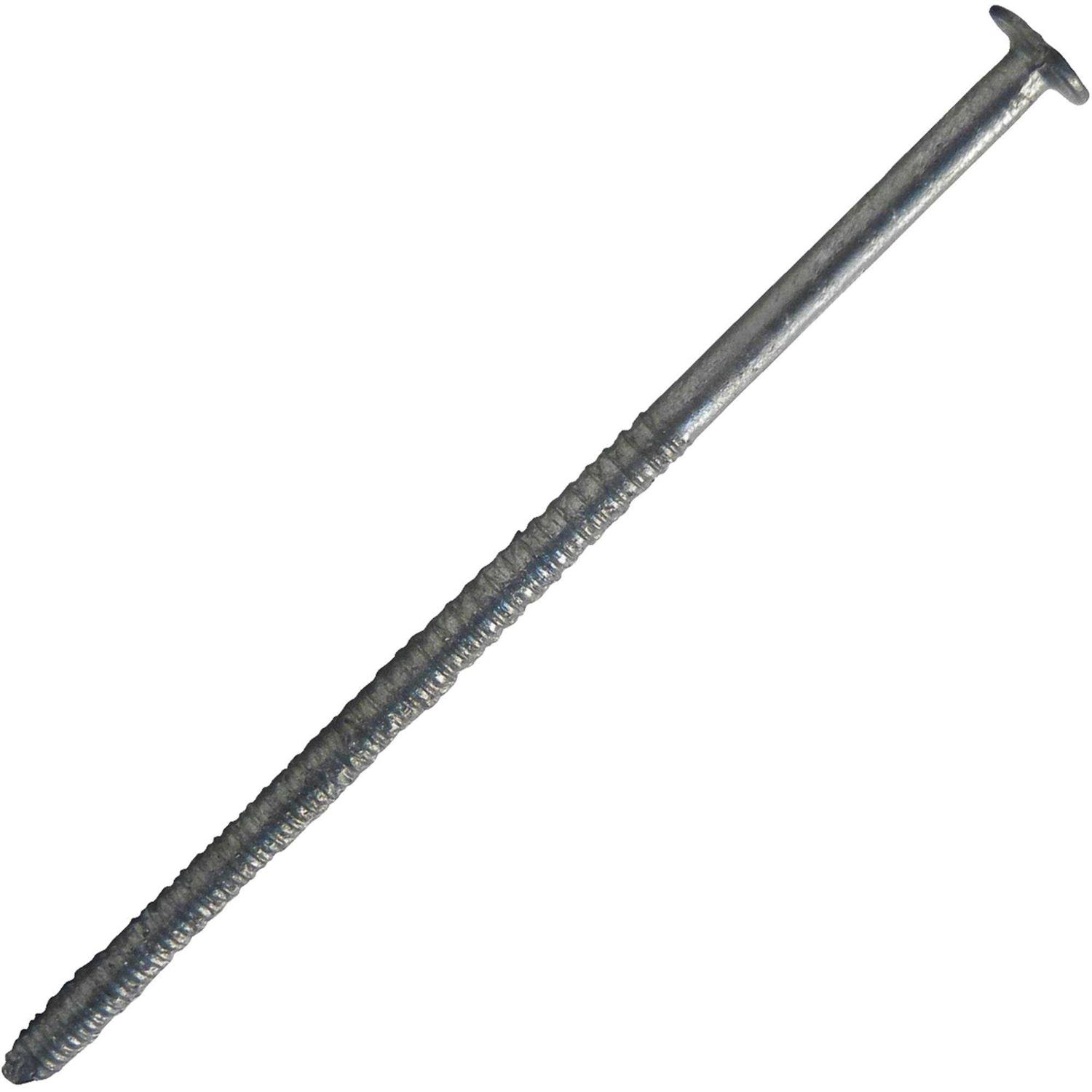 Maze Hardened Flooring Nails - Zenithce