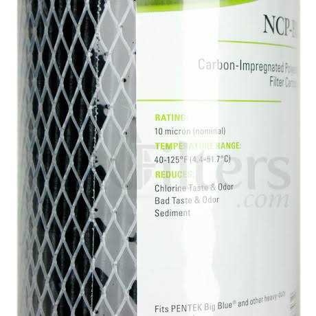 Pentek GAC-BB Carbon Water Filter 155153-43 - Zenithce