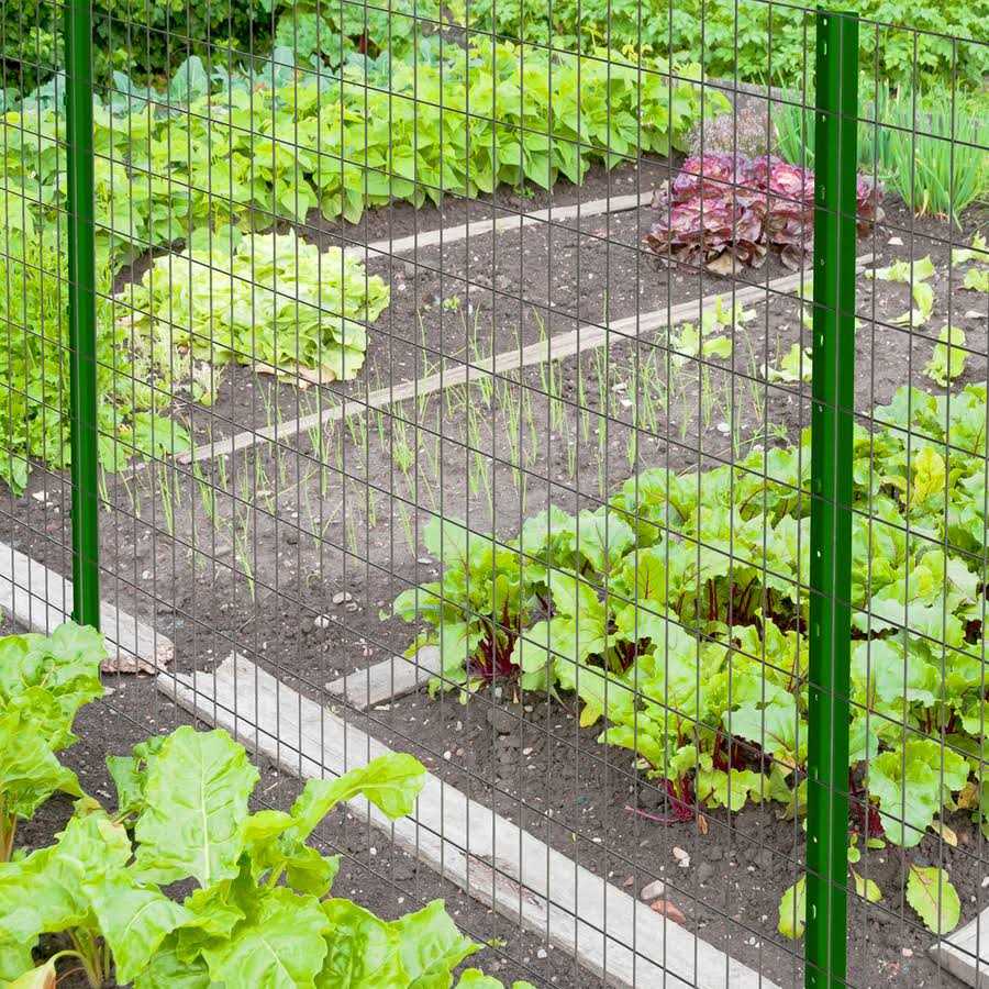 Garden Zone Light Duty Fence Post - Zenithce