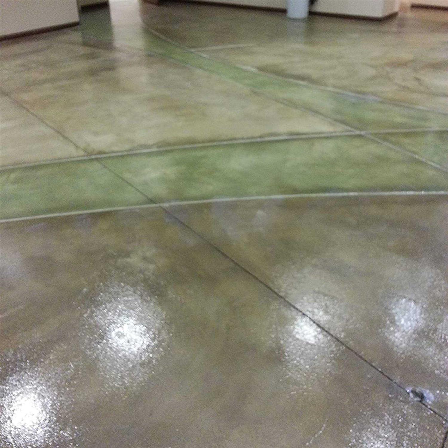 EcoProCote Eco-Poly Wood Floor and Concrete Finish and Sealer - Zenithce