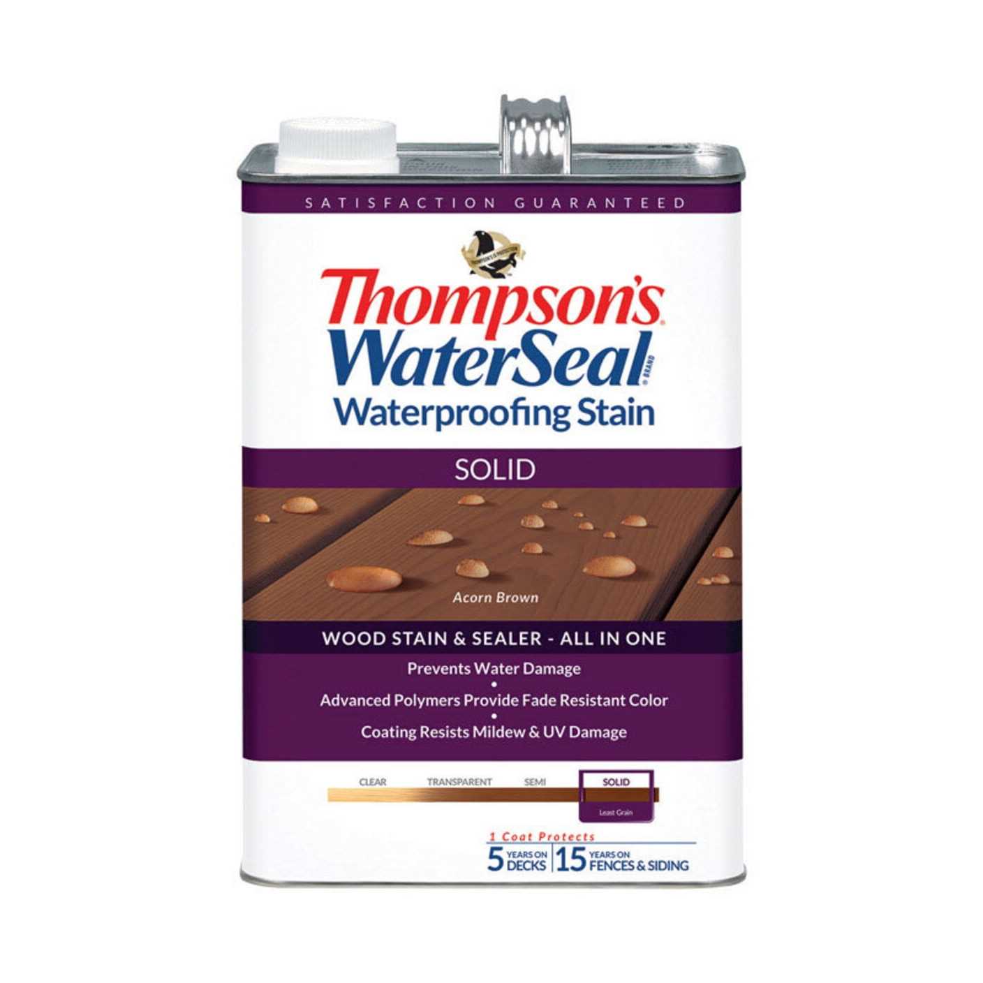 Thompson’s WaterSeal Signature Series Clear Exterior Wood Stain and Sealer - Zenithce