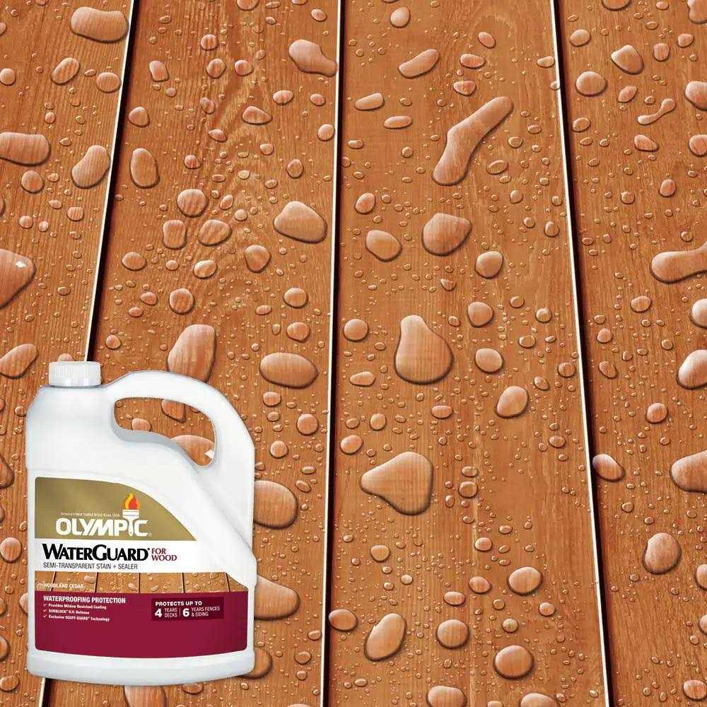 Olympic Waterguard Clear Multi-Surface Waterproofer - Zenithce