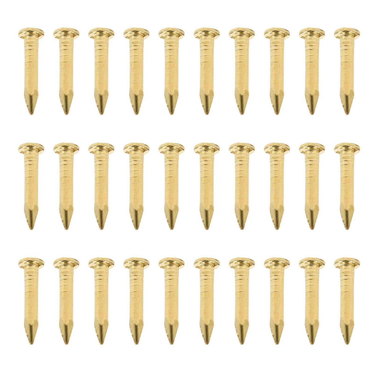 Heallily 100pcs Copper Nails for Killing Trees Removing Stumps Copper Nail Spike - Zenithce