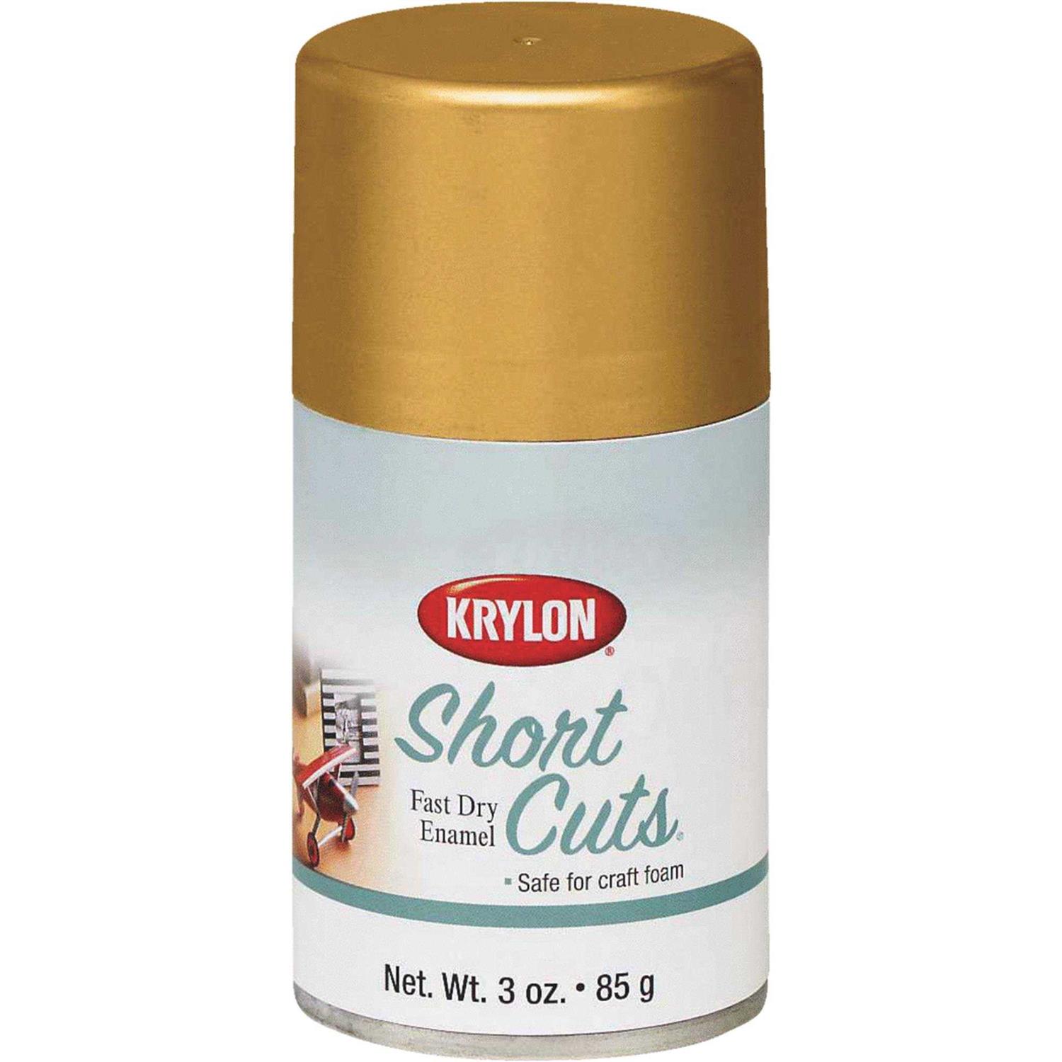Krylon Sea Glass Spray Paint - Zenithce